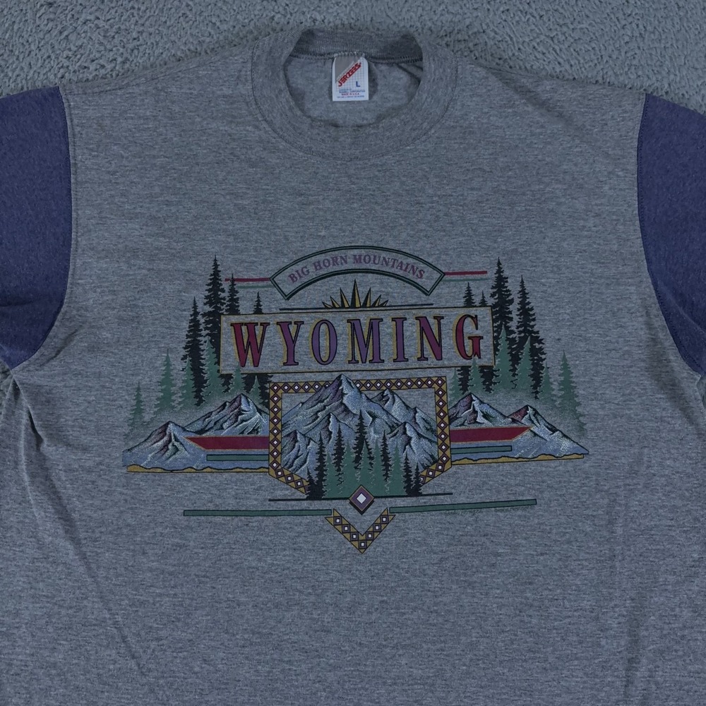 VINTAGE Jerzees Wyoming Shirt Mens M Gray Purple Tee Big Horn Mountains‎ USA 90s